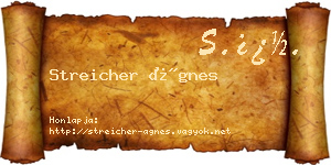 Streicher Ágnes névjegykártya